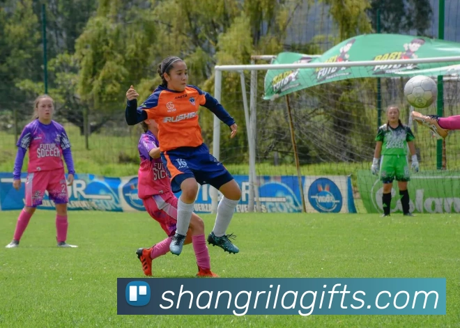 App 展示图